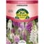 Foxglove, Foxy Annual 280mg — thumbnail 1 of 2