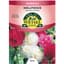 Hollyhock, Summer Carnival 280mg — thumbnail 1 of 2