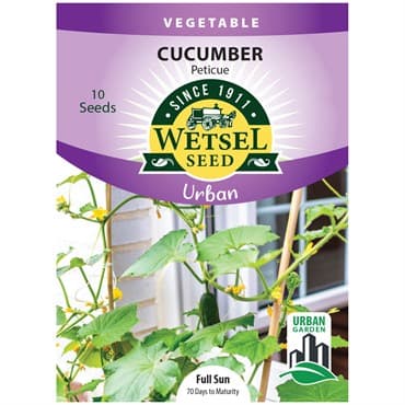 Cucumber, Peticue ( Patio ) 10 Seed Count — photo 1 of 2