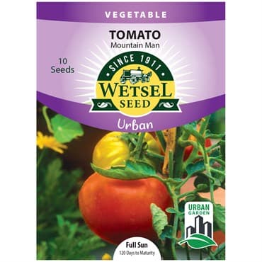 Tomato, Mountain Man ( Patio ) 10 Seed Count — photo 1 of 2