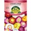 Helichrysum, Strawflower Semi Dwarf Bouquet Mix 280mg — thumbnail 1 of 2