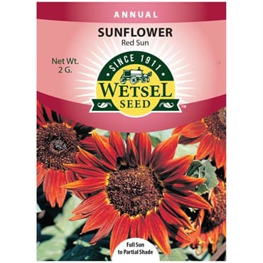 Sunflower, Red Sun 2 Grams — photo 1 of 2