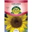 Sunflower, Sunspot Dwarf 2 Grams — thumbnail 1 of 2