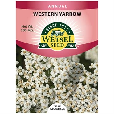 Western Yarrow 500mg — photo 1 of 2