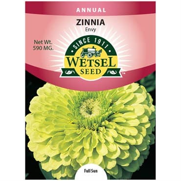 Zinnia, Envy 590mg — photo 1 of 2