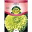 Zinnia, Envy 590mg — thumbnail 1 of 2