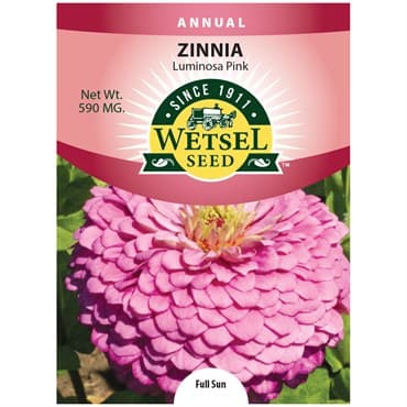 Zinnia, Luminosa Pink 590mg — photo 1 of 2