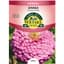 Zinnia, Luminosa Pink 590mg — thumbnail 1 of 2