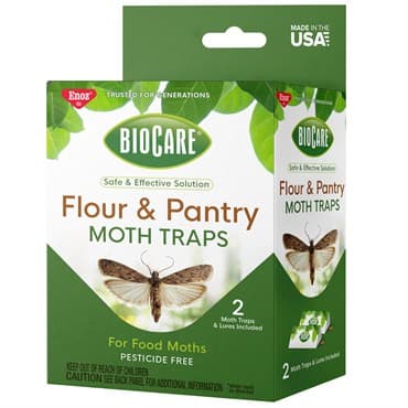 Enoz BioCare Flour & Pantry Moth Trap — photo 1 of 2