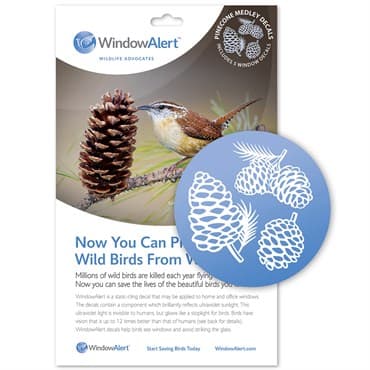 WindowAlert Pinecone UV-Reflective Anti-Collision Bird Deterrent Window Decal — photo 1 of 2