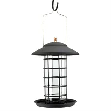 Woodlink Metal & Glass Tube Seed Feeder Black — photo 1 of 2