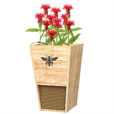 Woodlink Cedar Mason Bee House & Planter — photo 1 of 2