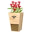 Woodlink Cedar Mason Bee House & Planter — thumbnail 1 of 2