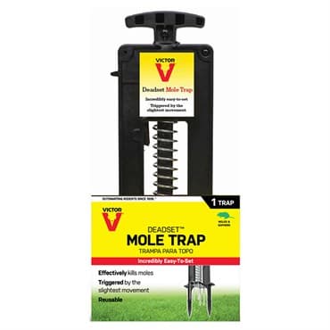 Victor Deadset Mole Trap — photo 1 of 2