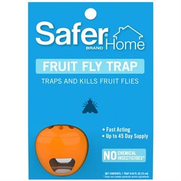 Safer Home 1pk Fruit Fly Trap — photo 1 of 2