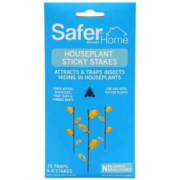 Safer Home 8pk Sticky Stakes — photo 1 of 2