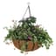 WSP 14" Forge Hanging Basket With Coco Liner — thumbnail 1 of 2