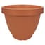 ITML CBU1550 15.50 CENTABELA PLNTR CLAY 12/CS 36/P — thumbnail 2 of 2