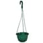 BLD 6.00 HANGING BASKET WITH SAUCER PLASTIC HANGER GREEN 6903021 — thumbnail 2 of 2