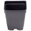 Landmark 03.25 Inch Square T Pot Economy Black 900 Per Case / 36 Cases Per Pallet — thumbnail 2 of 2