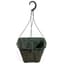 WP 10.00 SQ BSKT 1.84GL   22/CS 48CS/PL 104527 HANGERS NOT INCLUDED — thumbnail 2 of 2