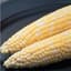 Corn, Ambrosia 1/2lb — thumbnail 2 of 2