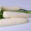 CORN, ARGENT LBS — thumbnail 2 of 2