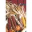 Corn, Ornamental 50lb — thumbnail 2 of 2