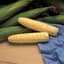 Corn, Serendipity 4oz — thumbnail 2 of 2