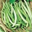 Beans, Topcrop Bush 25lb — thumbnail 2 of 2
