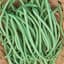 Beans, Slenderette Bush 50lb — thumbnail 2 of 2