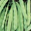 Beans, Roma II 1lb — thumbnail 2 of 2
