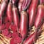 Beets, Cylindra 1/2lb — thumbnail 2 of 2