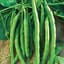 Beans, Kentucky Wonder Bush 125 Treated 1lb — thumbnail 2 of 2