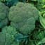 Broccoli, Waltham 1lb — thumbnail 2 of 2
