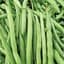 Beans, Black Provider Treated 50lb — thumbnail 2 of 2