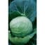 Cabbage, Danish Ballhead 1/2oz — thumbnail 2 of 2