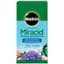 Miracle Gro 4# Miracid Acid-Loving — thumbnail 2 of 2