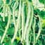 Beans, Blue Lake Fm1 Pole 1/2lb — thumbnail 2 of 2