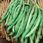 Beans, Kentucky Wonder Brown Pole 1/2lb — thumbnail 2 of 2