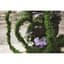 SuperMoss 5-6' Bag Preserved Thick Moss Vine — thumbnail 2 of 2