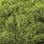 SuperMoss 8oz Spanish Moss Preserved Chartreuse — thumbnail 2 of 2