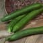 Cucumber, Tasty Green/ Burpless #26 1/2oz — thumbnail 2 of 2
