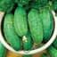 Cucumber, Smr58 1lb — thumbnail 2 of 2