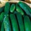 Cucumber, Marketer 1lb — thumbnail 2 of 2