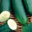 Cucumber, Marketmore 76 1 lb — thumbnail 2 of 2