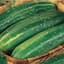 Cucumber, Straight Eight 1/2oz — thumbnail 2 of 2