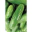 Cucumber, White Spine 1lb — thumbnail 2 of 2