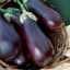 Eggplant, Black Beauty 1lb — thumbnail 2 of 2