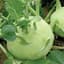 Kohlrabi, Early White Vienna 1lb — thumbnail 2 of 2